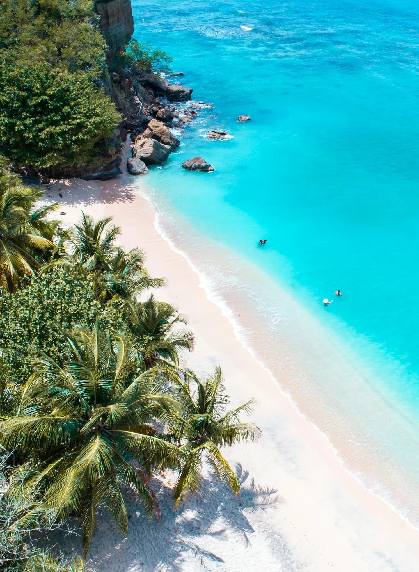 Turquoise Caribbean water meeting the palm-lined sand at Dr. Grooms Beach, Grenada
